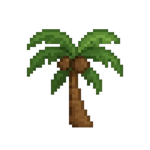 Coconut Tree